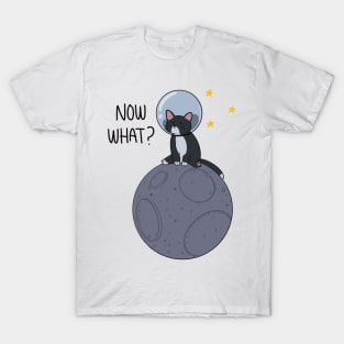 Now what?? t-shirt T-Shirt